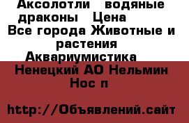 Аксолотли / водяные драконы › Цена ­ 500 - Все города Животные и растения » Аквариумистика   . Ненецкий АО,Нельмин Нос п.